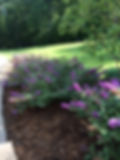 Create a Natural Attraction