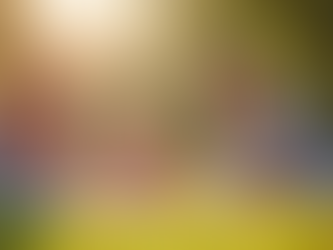 Maximize Family Reunions with Sunbird Travel & Events