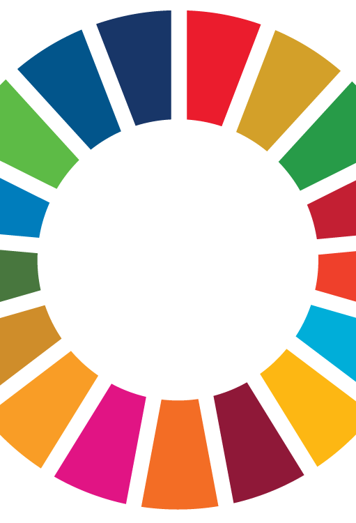 SDG Wheel_WEB.png