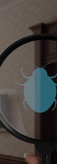 BugOut Home Insecticides.jpg