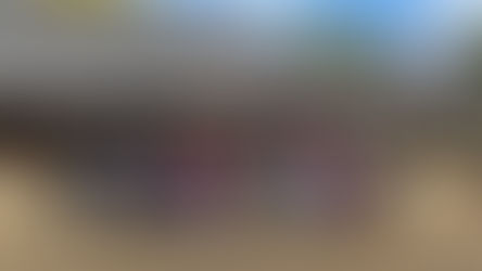 日本語（にほんご）土曜（どよう）クラス交流会（こうりゅうかい）