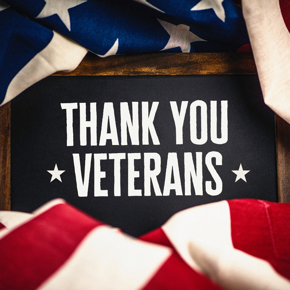 Honoring Our Heroes by Supporting Veterans at Home