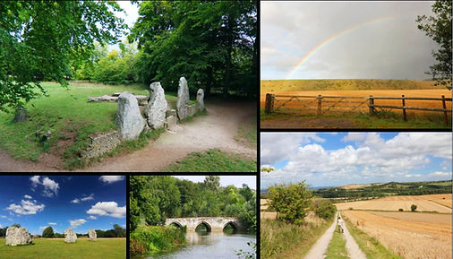 Collage1_edited_edited.jpg