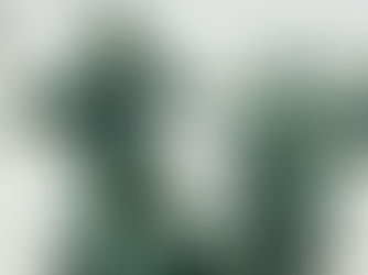 Fleet Fly to 4–0: Boston Sets PWHL Record in Win Over Minnesota Frost