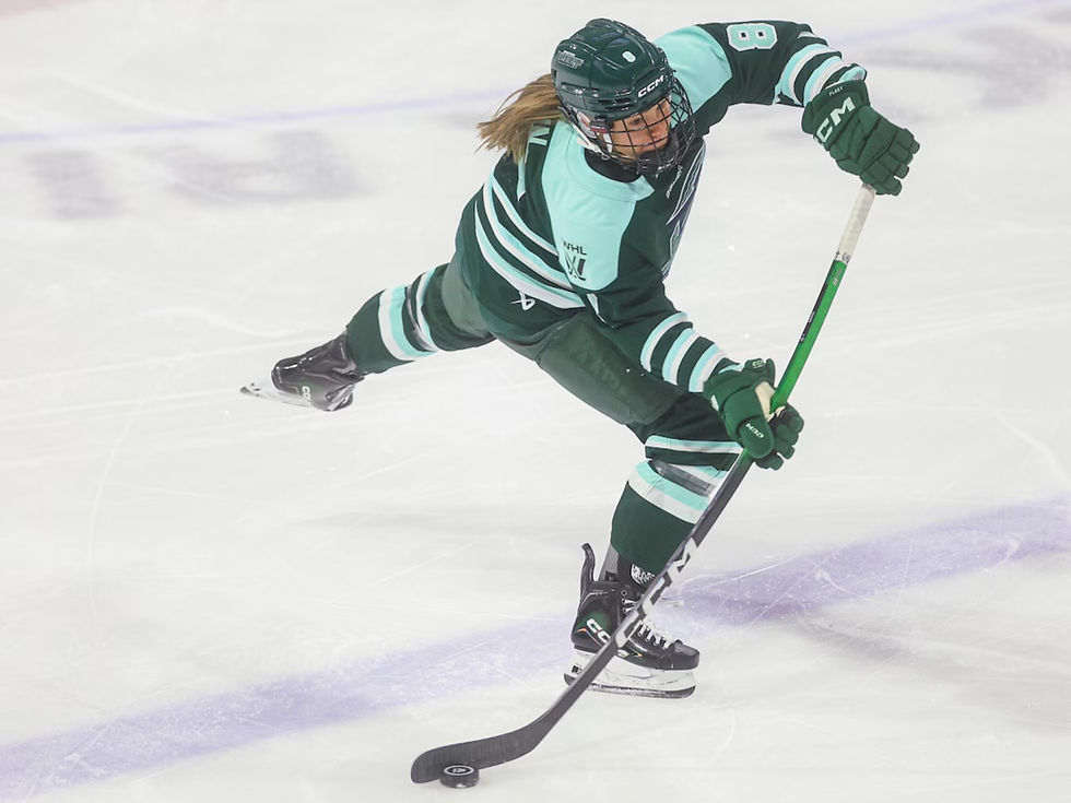Haley Winn at the Minnesota frost game