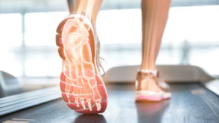 Foot Function, Exercise and Balance.