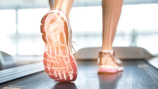 Foot Function, Exercise and Balance.
