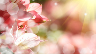New Year pick me up - looking after your health & vitality