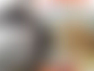 Invitée d'honneur au Salon "Couleurs et Passion" de Cheptainville en photos