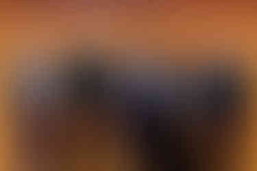 Nuno Almeida receives Inovação Social Award, representing Native Scientists