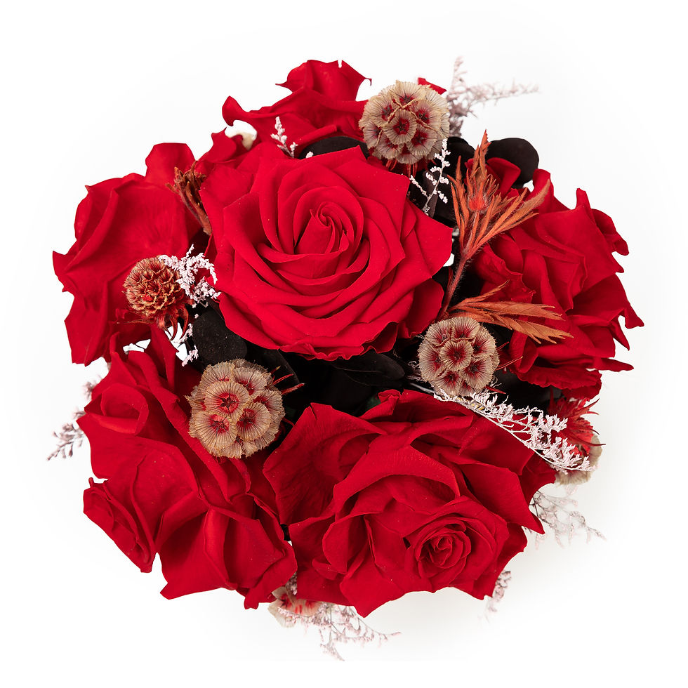 Miniatura: Scarlet & Champagne