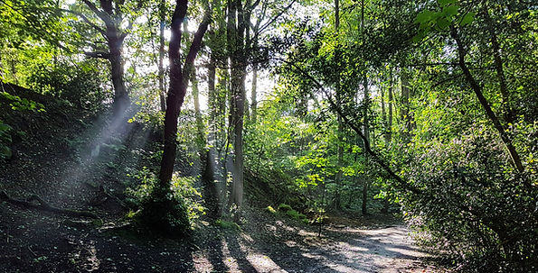 20180616_183958_edited.jpg