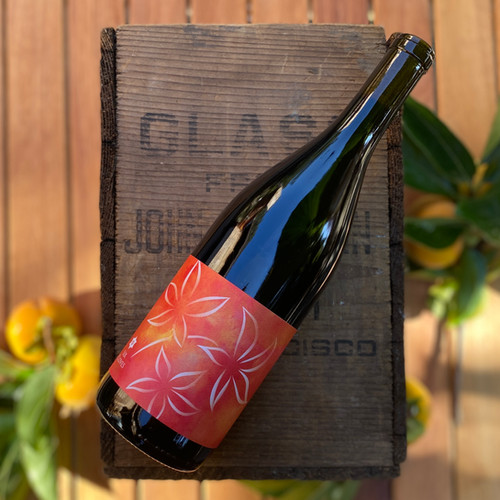 2022 Zinfandel, Castanon Vineyards, Redwood Valley, Mendocino