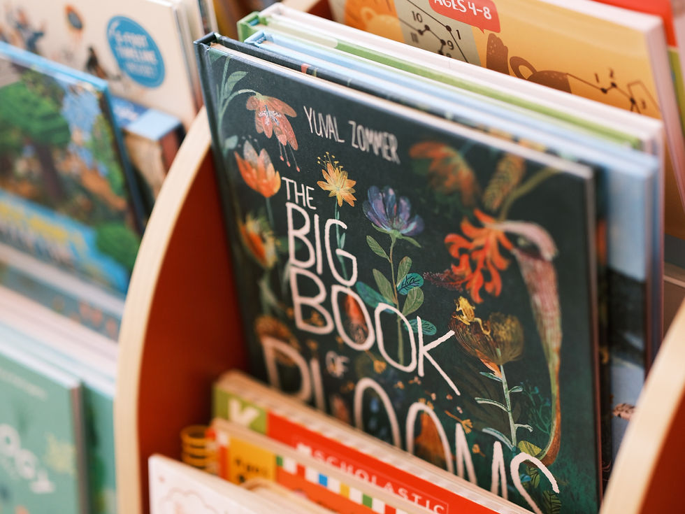 Bilderbücher für die Grundschule