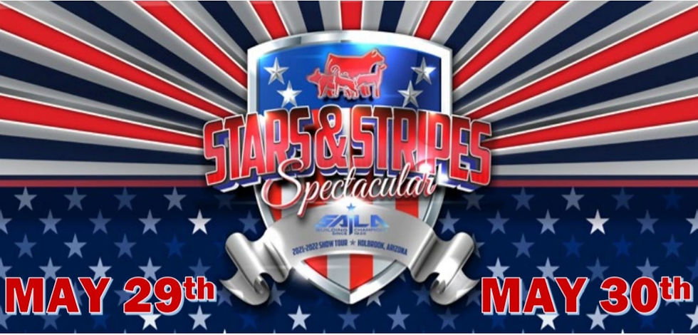 Holbrook Stars and Stripes Spectacular 