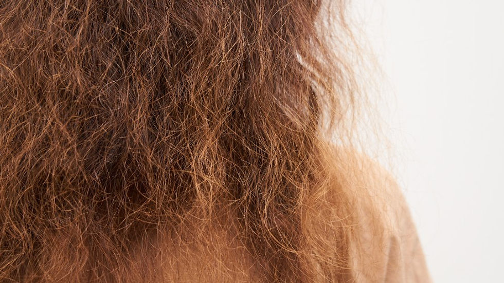 Frizzy Hair before Keratin Treatment