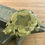 Miniaturbild: Nephrit Jade Schminckschale Büffel