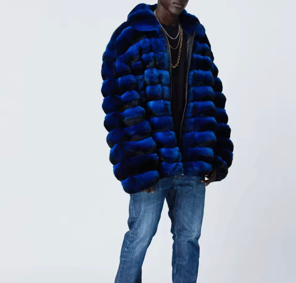 Thumbnail: German Chinchilly Coat