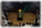 Laser Violin Show