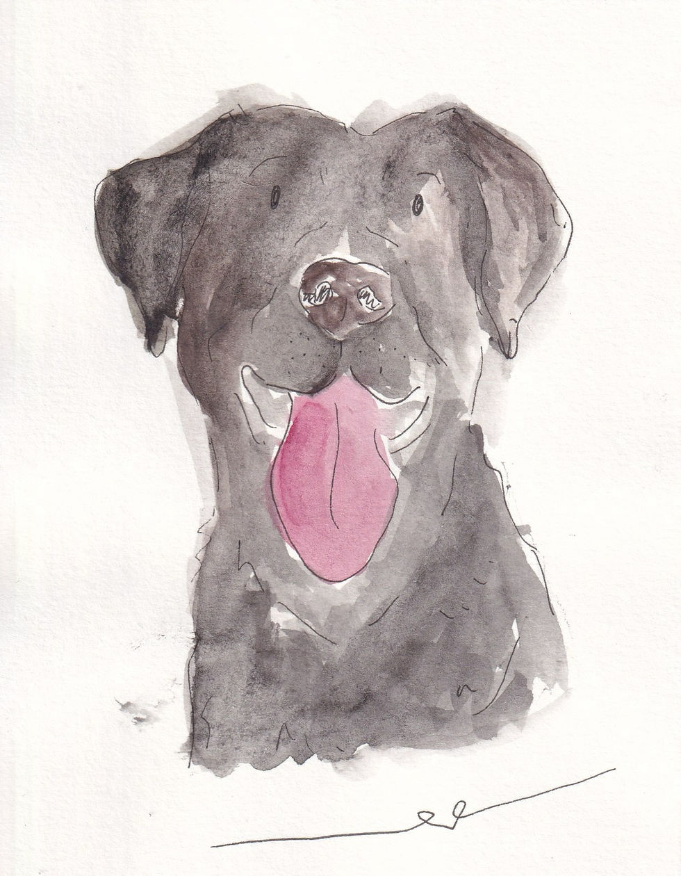 Dog Illustration