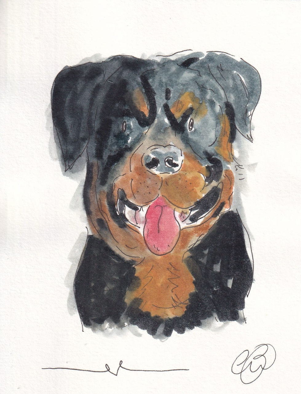 Dog Illustration