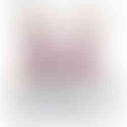 Pet/ Animal Illustrations