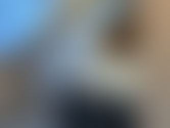 Aménagement salle de bain / Wc - Saint-Jorioz