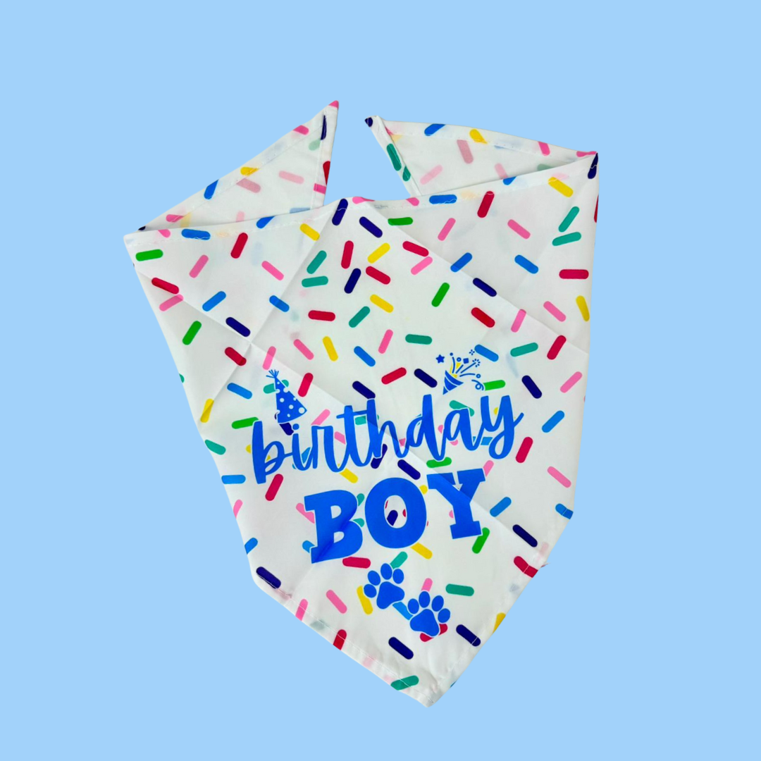 Birthday Boy Scarf Blue