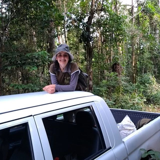 plantando novas ideias