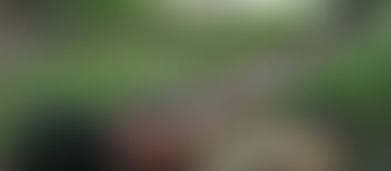 Fotografia e Conservação das Antas: uma parceria de sucesso