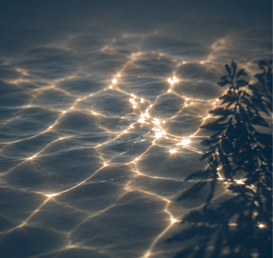 ChatGPT Image Jun 21, 2026, 02_50_01 AM_edited.png