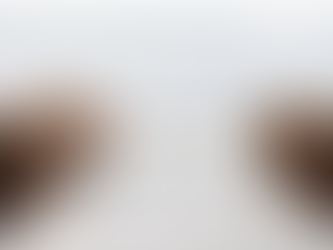 The Practice of Perspective Adjustment