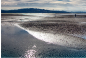 Sandy beach at low tide