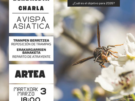 AVISPA ASIATICA, CHARLAS