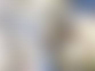 AVISPA ASIATICA. CHARLAS INFORMATIVAS EN LA COMARCA ARRATIA-NERVION