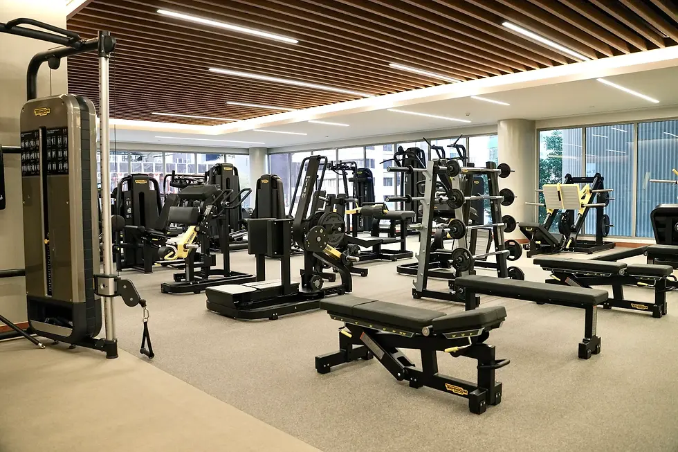 Now Gym Kuwait City exercise equipment