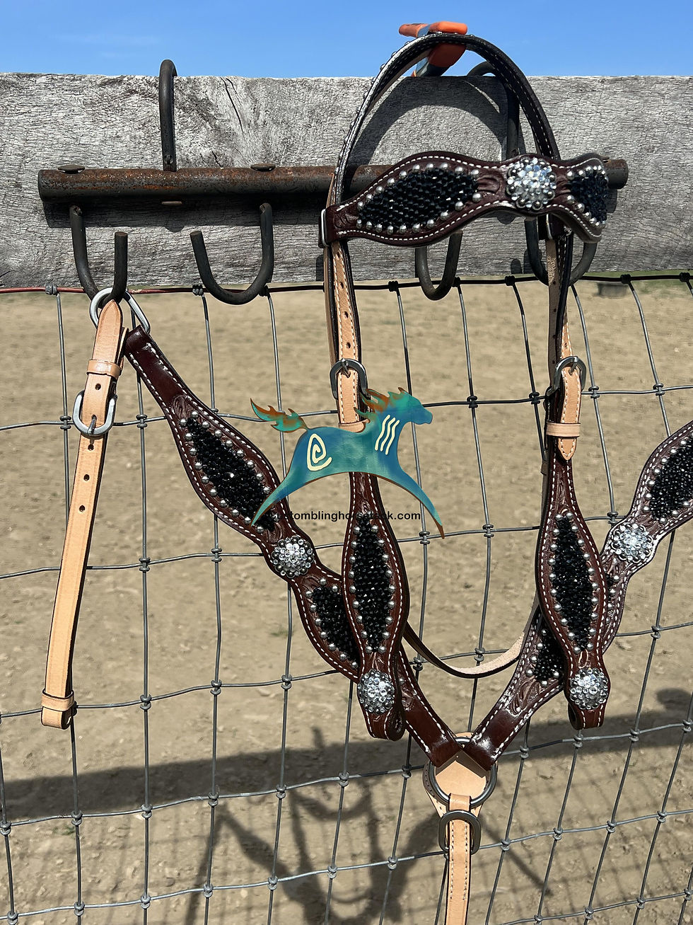 Thumbnail: Black Crystal  Bridle Breast Collar & Wither Strap Set 2 Tone