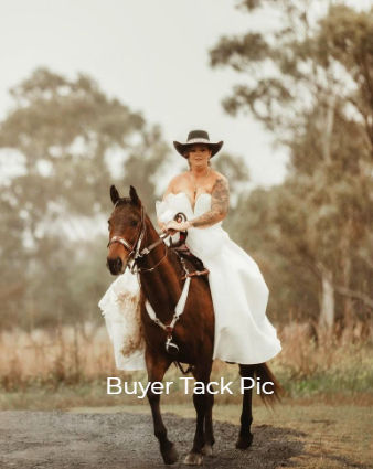 Thumbnail: Clear Crystal Bridle Breast Collar Set ~ Western Horse Show Trail Barrels