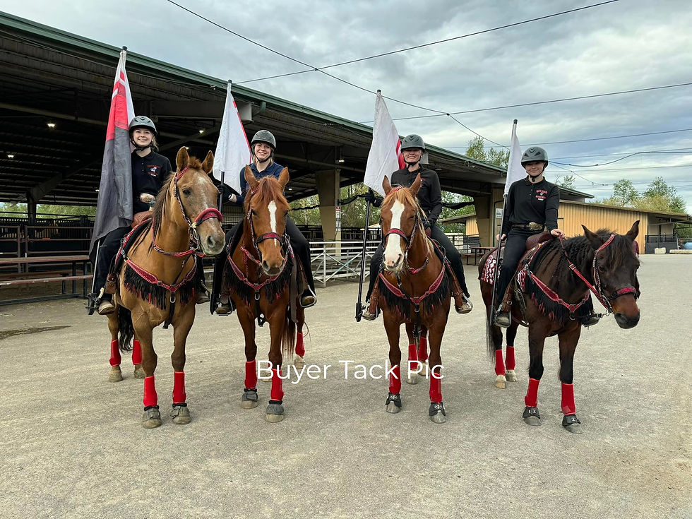 Thumbnail: Ruby Red Crystal Bridle Breast Collar Set Fringe 