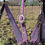 Thumbnail: Dark Brown Lavender Purple Rhinestone Bling Bridle Breast Collar Wither Strap 