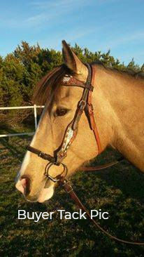 Thumbnail: Full White Ice Crystal Bling Buckstitch Bridle Breast Collar Set