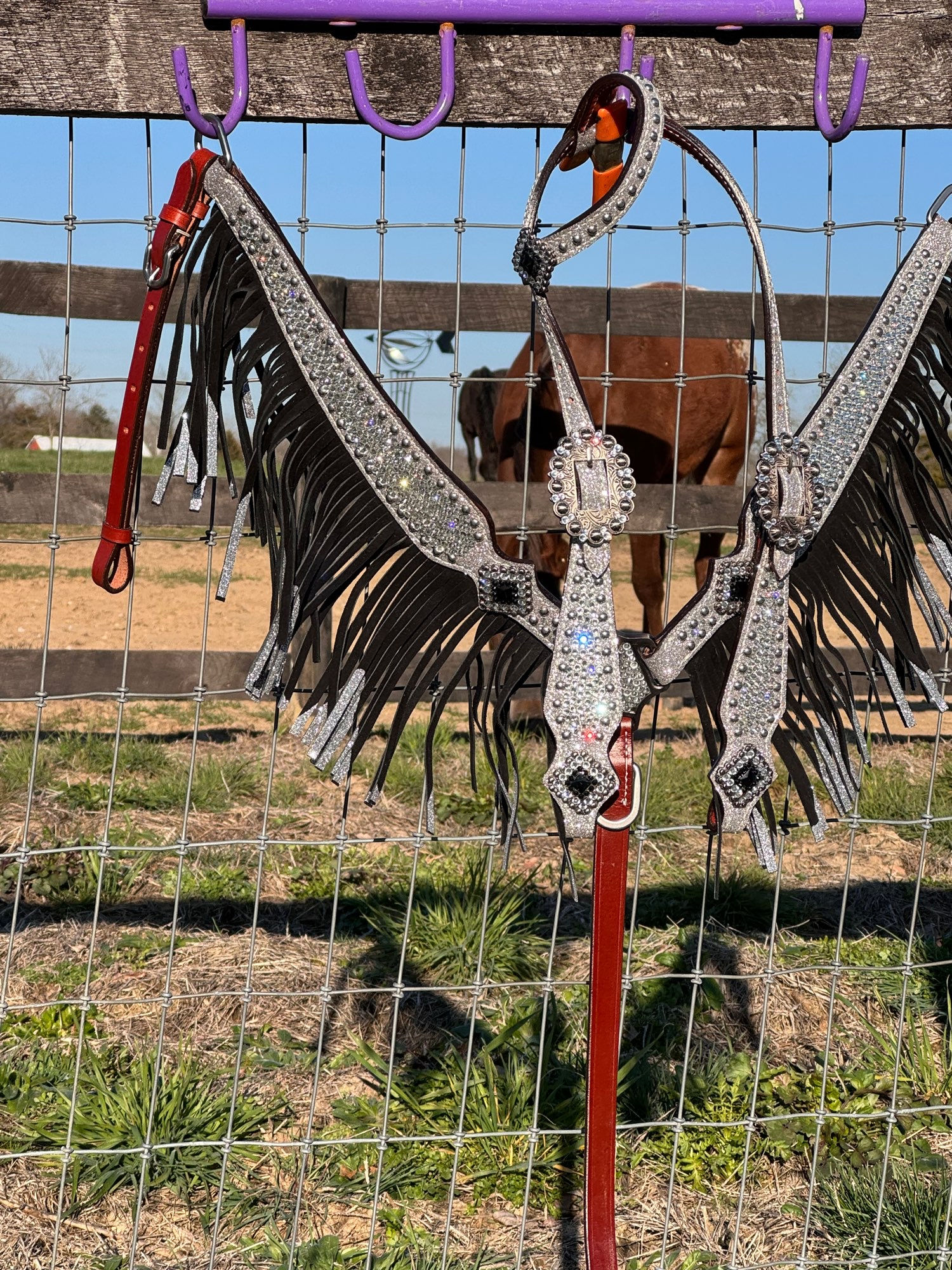 Clear Crystal Bridle Breast Collar Set Fringe Rhinestone Super Bling :)