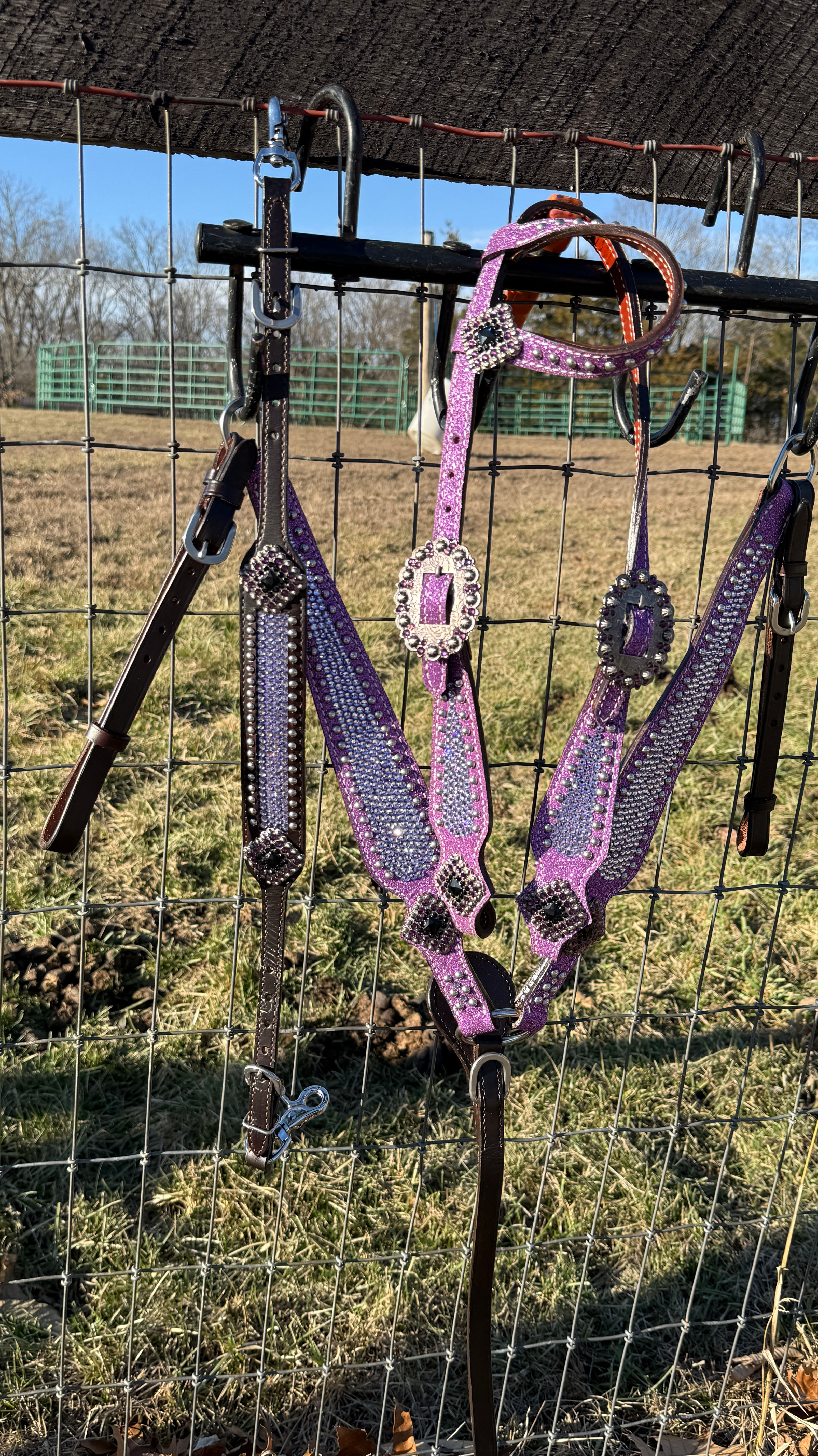 Dark Brown Lavender Purple Rhinestone Bling Bridle Breast Collar Wither Strap 