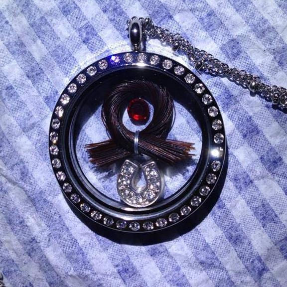Thumbnail: Single Horse Hair Ribbon Locket Swarovski Crystal