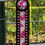 Thumbnail: Pink & AB Clear Dark Brown Leather Wither Strap
