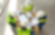 2.PNG