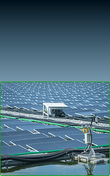 Untitled design (3).png