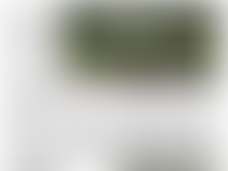 Metrolínea: ¿Adiós a sueño de Movilidad?