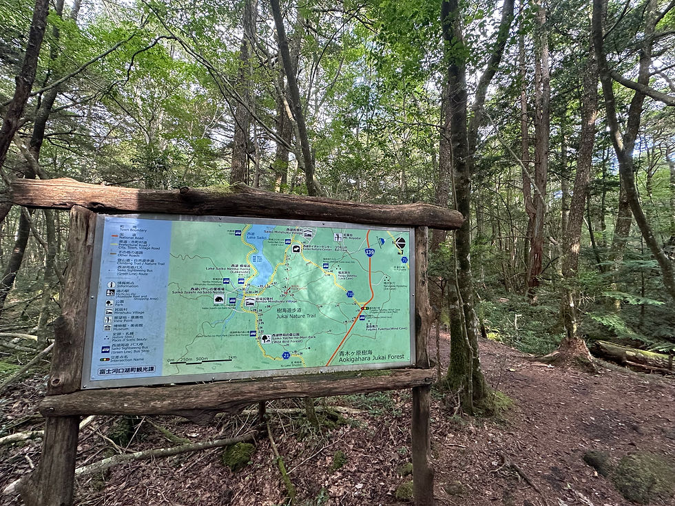 Aokigahara Forest