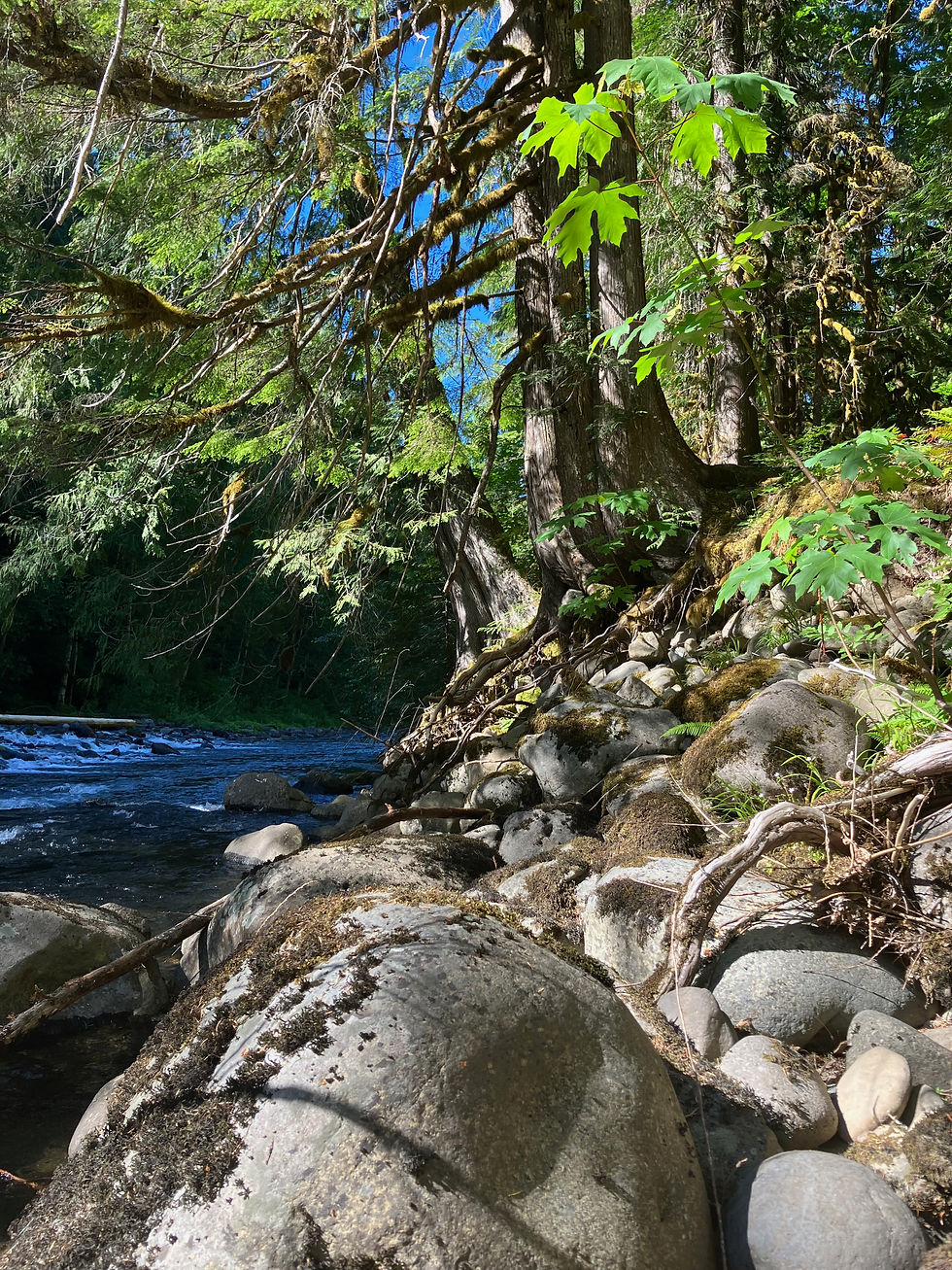 Woods, Rocks and Water